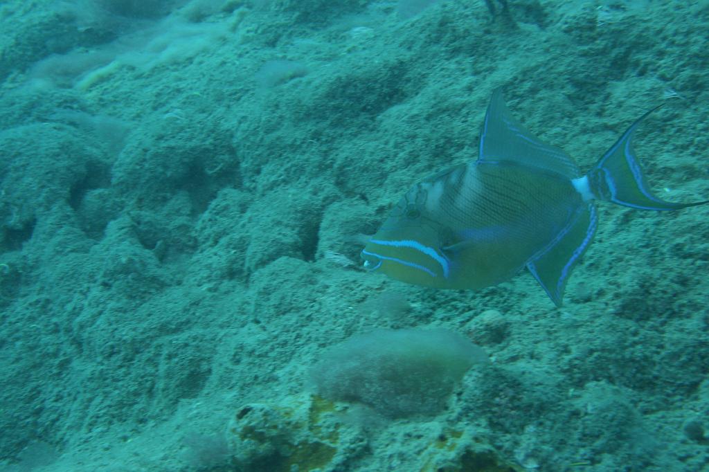 2008-05-17 15-38-34 H.JPG
